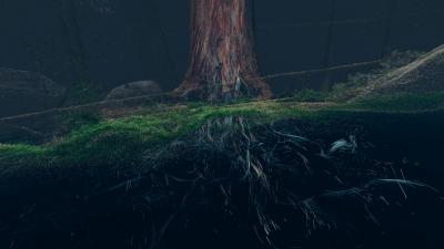 CGI of tree roots and fungi